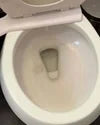 1 Year of Toilet Bowl Cleaner